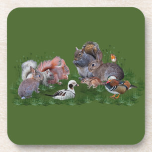 Woodland Animals Set of 6 Coasters