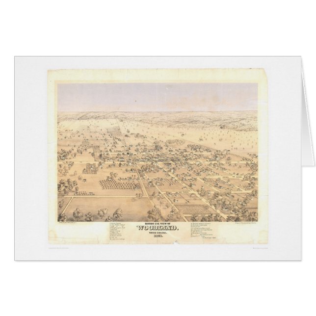 Woodland, CA. Panoramic Map (1874A) (Front Horizontal)