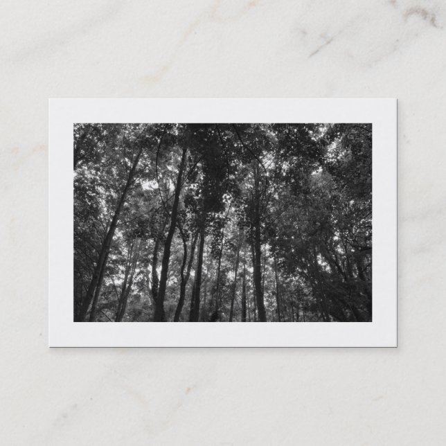 Woodland Canopy 02 BW (Bordered) Business Card (Front)