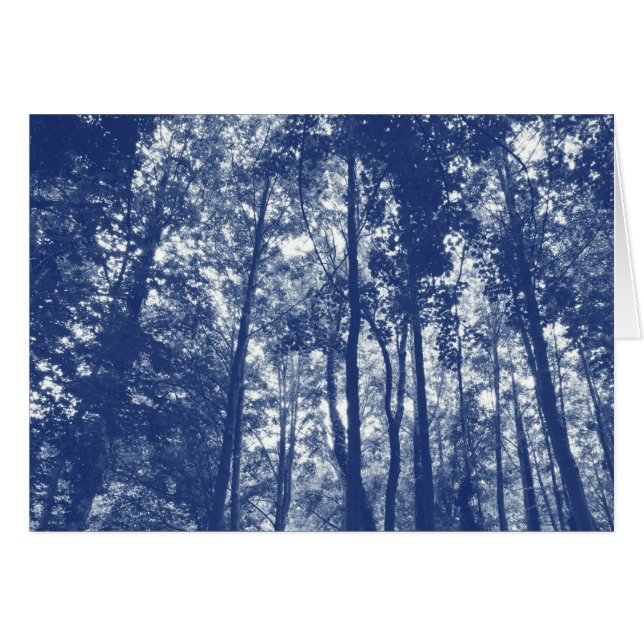 Woodland Canopy - Cyanotype Effect (Front Horizontal)