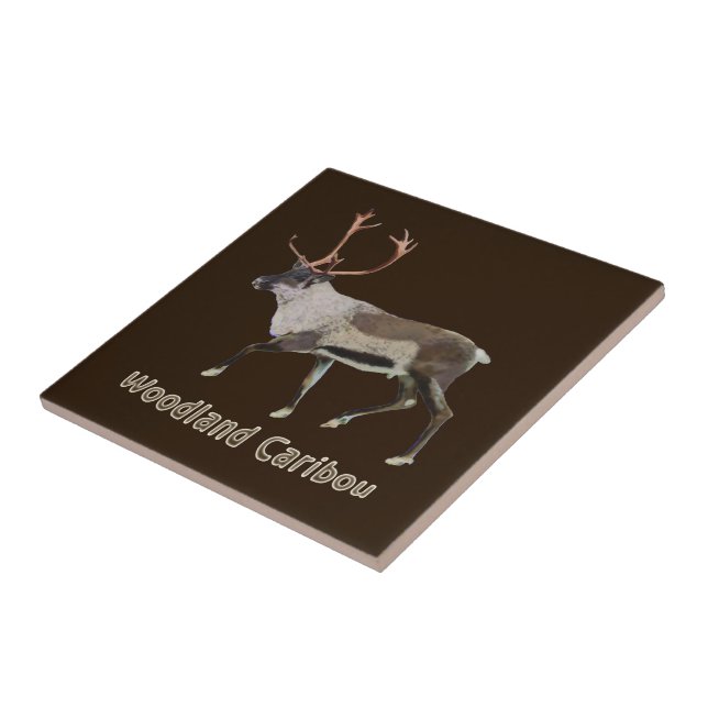 Woodland Caribou Ceramic Tile (Side)