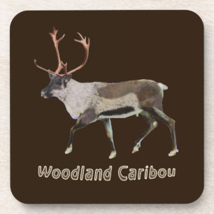 Woodland Caribou Coaster