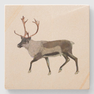 Woodland Caribou Stone Coaster