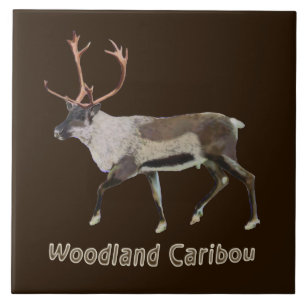 Woodland Caribou Tile