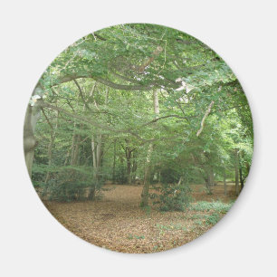 Woodland Clearing Magnet