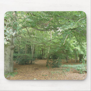 Woodland Clearing Mousepad