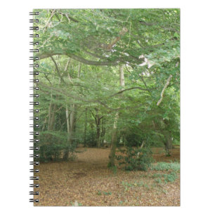 Woodland Clearing Notebook