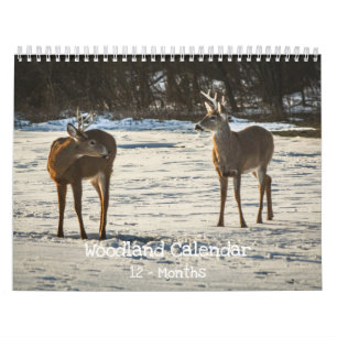 Woodland Creatures Nature Calendar