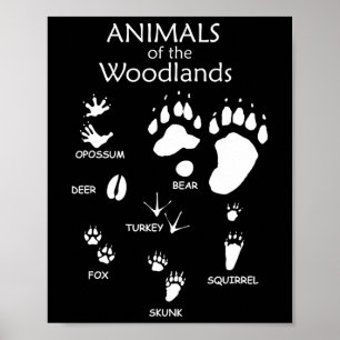 Woodland Cute Animal Paw Print