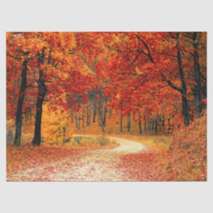woodland fall trail tissue paper