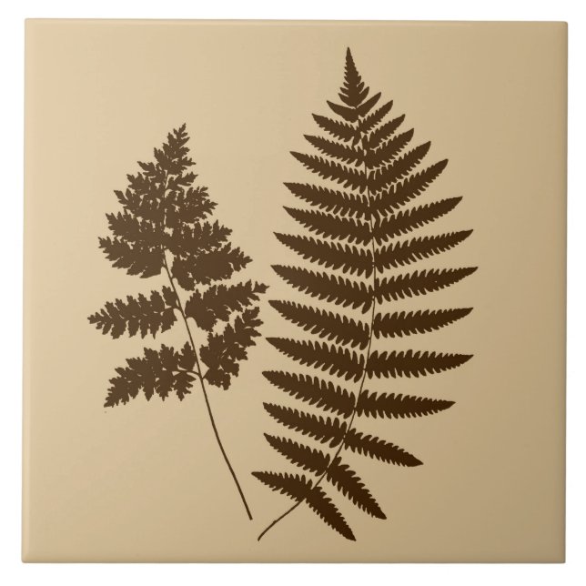 Woodland Fern, Beige and Dark Brown Ceramic Tile (Front)