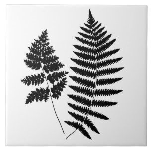 Woodland Fern, Black and White  Ceramic Tile