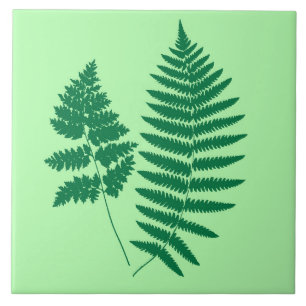 Woodland Fern, Emerald and Light Green Ceramic Tile