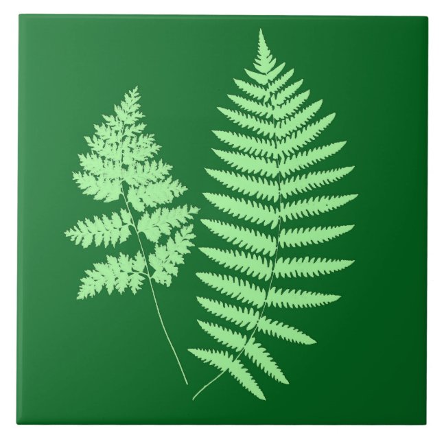 Woodland Fern, Emerald and Light Green Ceramic Tile (Front)
