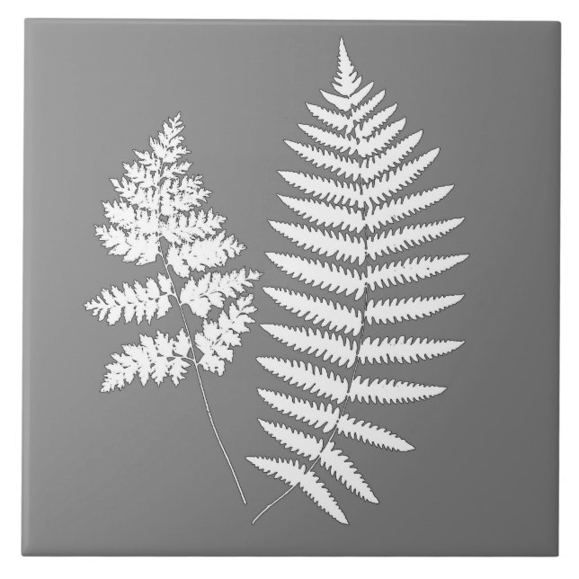 Woodland Fern, Grey / Grey and White   Ceramic Tile (Front)