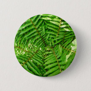 Woodland Ferns Badge