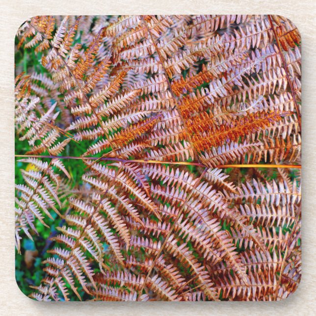 Woodland Ferns Coaster (Front)