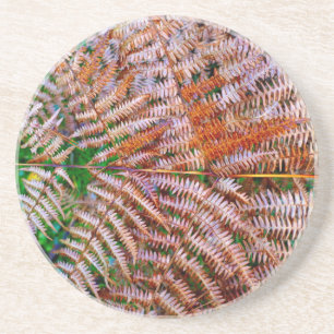 Woodland Ferns Coaster