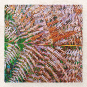Woodland Ferns Glass Coaster