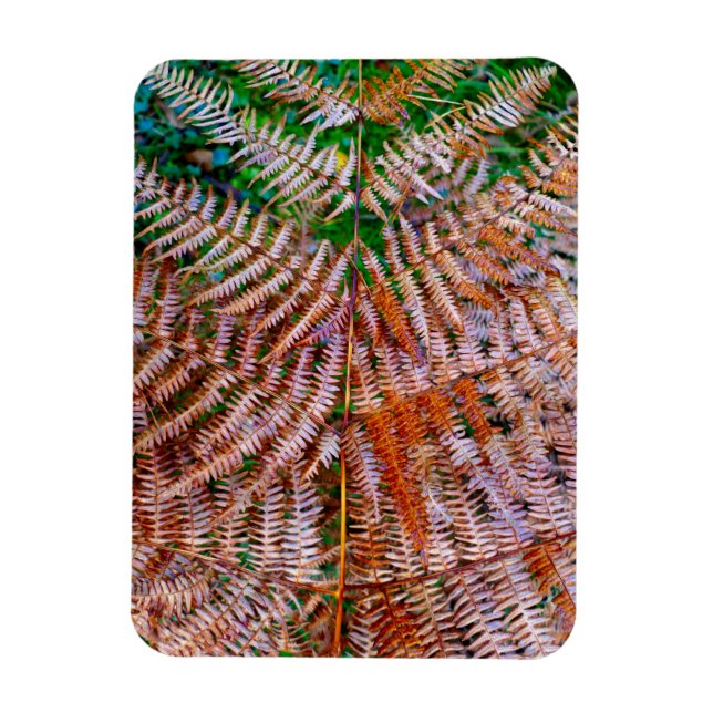 Woodland Ferns Magnet (Vertical)