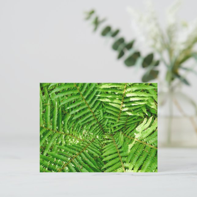 Woodland Ferns Postcard (Standing Front)