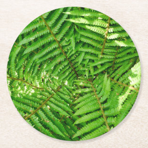 Woodland Ferns Round Paper Coaster