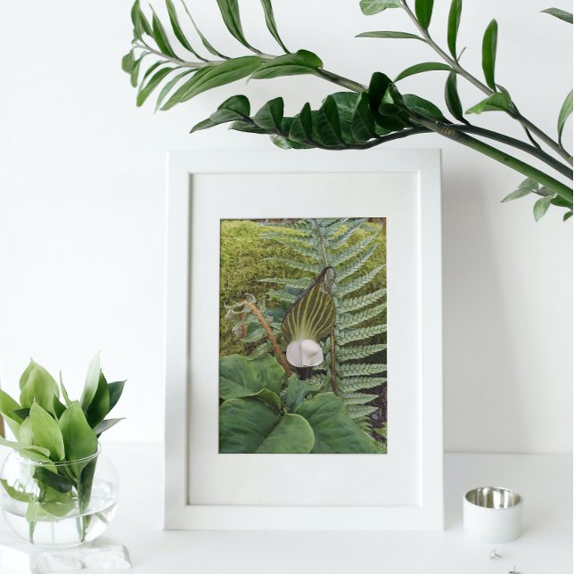 Woodland Flora Botanical Photo Print (In Situ Framed)