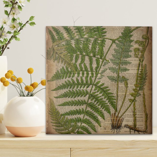 woodland foliage french botanical print fern tile (woodland foliage french botanical print fern tile)