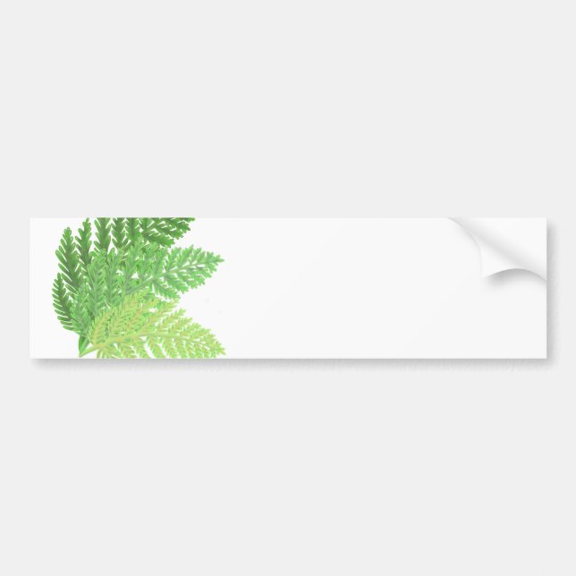 Woodland forest green ferns forest ferns bumper sticker (Front)