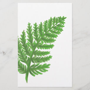Woodland forest green ferns forest ferns leaves