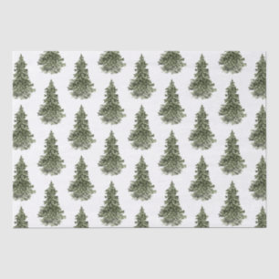 Woodland Forest Spruce Tree Tissue Paper