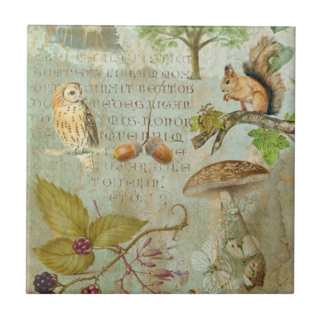 Woodland Forest Wildlife Squirrel, Owl, Autumnal S Ceramic Tile (Front)