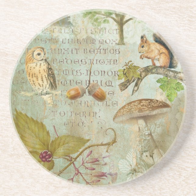 Woodland Forest Wildlife Squirrel, Owl, Autumnal S Coaster (Front)