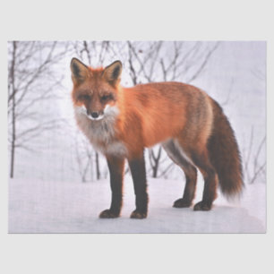 woodland fox tissue paper