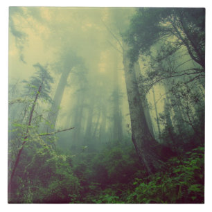 Woodland From Below Ceramic Tile