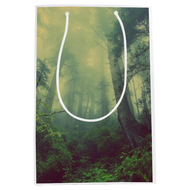 Woodland From Below Medium Gift Bag (Front)