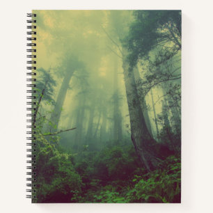 Woodland From Below Notebook