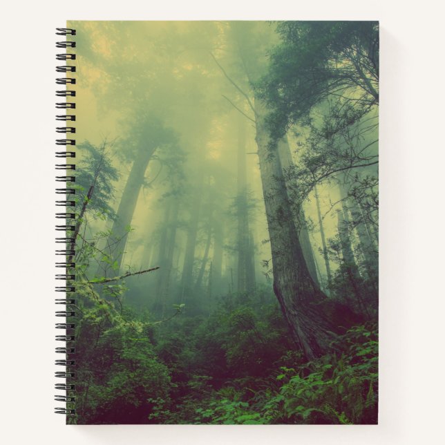 Woodland From Below Notebook (Front)