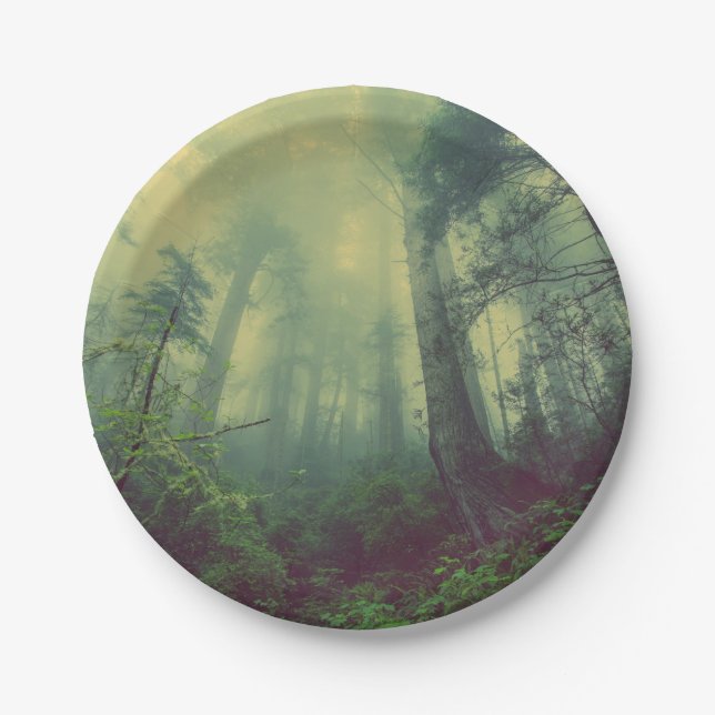 Woodland From Below Paper Plate (Front)