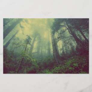 Woodland From Below Stationery