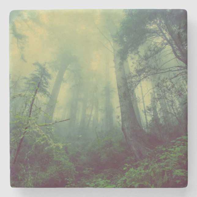 Woodland From Below Stone Coaster (Front)