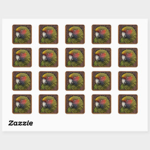 Woodland Harmony: Green Lorikeet On Carved Wood Square Sticker