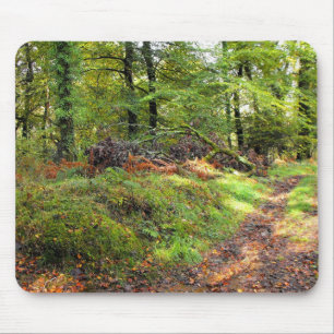Woodland in October Mouse Pad