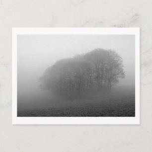 Woodland in the Mist: Cheshire, England Postcard