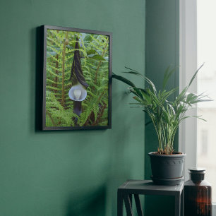 Woodland Jack-in-the-Pulpit Floral Poster