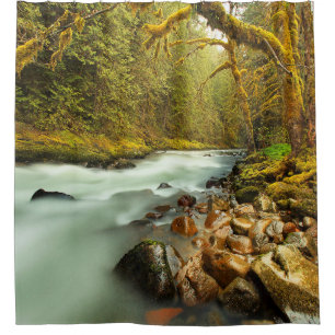 Woodland Landscape with Flowing Stream Shower Curtain