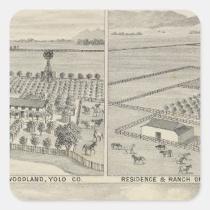 Woodland lumber company square sticker