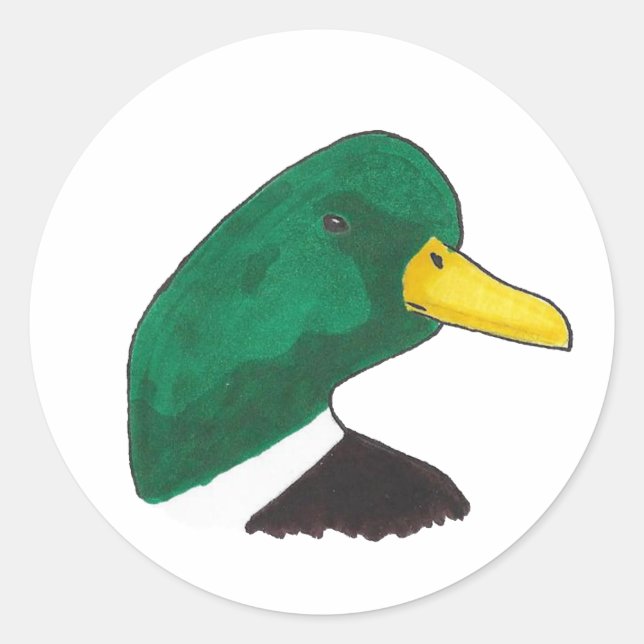 Woodland Mallard Duck Classic Round Sticker (Front)