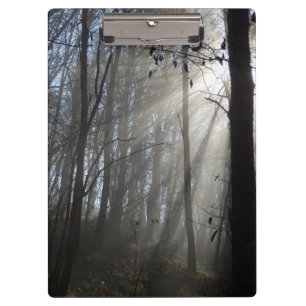 Woodland Morning Mist Clipboard