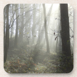 Woodland Morning Mist Hard Plastic Coasters